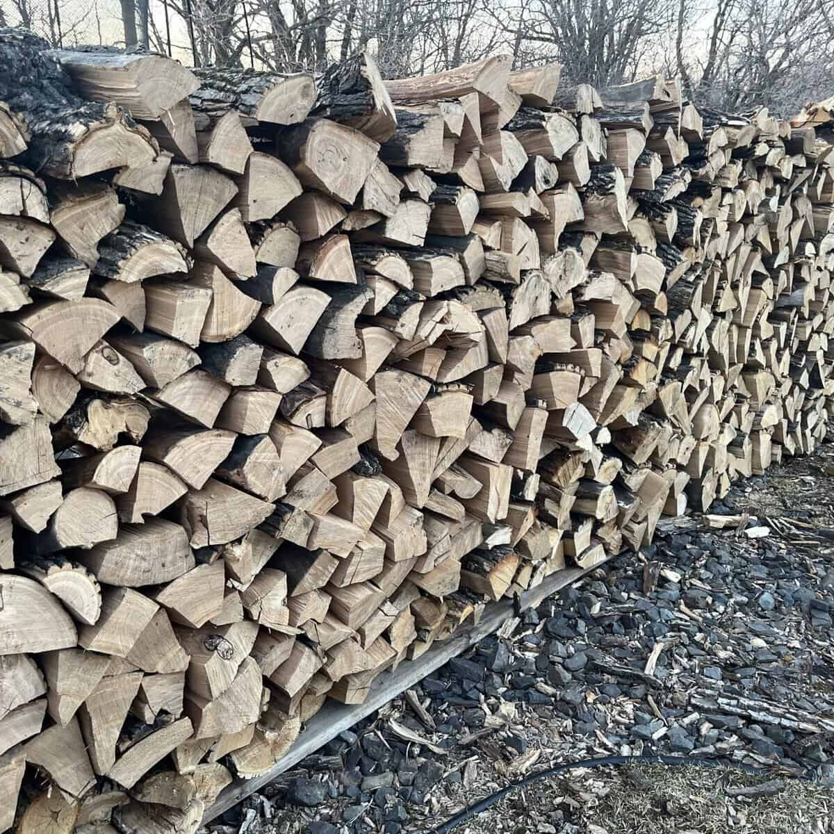 A large stack of split firewood from Winnipeg Firewood is neatly piled outdoors, with trees and cut wood debris visible in the background.